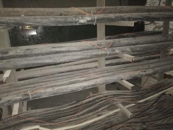 5c1b59d190a34.jpg image009.jpg