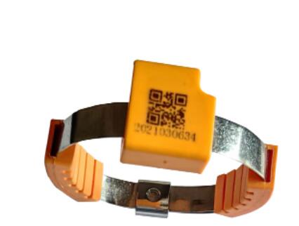 640981bf8934c.jpg QQ截圖20230309145029.jpg